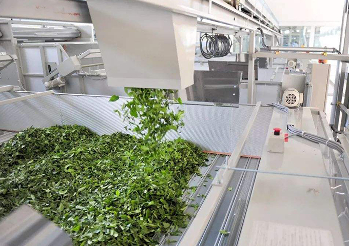 貴州芳緣茗品農(nóng)業(yè)科技集團有限公司